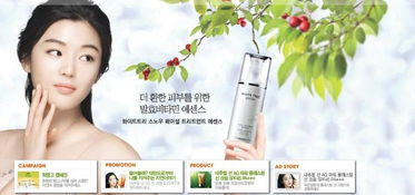 探索韓國美妝世界 熱門品牌解析與代理代辦指南